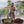 Load and play video in Gallery viewer, The Persian King - Vanilla Caramel Coffee