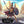 Load and play video in Gallery viewer, The Spartan King - Arabica Coffee