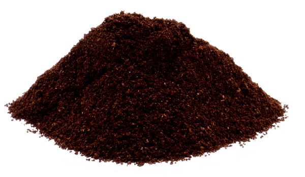 The First Emperor - Black & Tan Dark Coffee