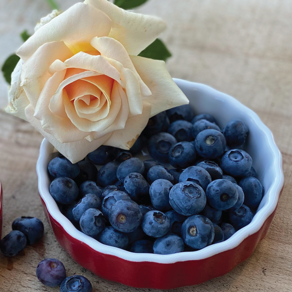 Huckleberry | Blueberries, Papaya, Rose | Black/Green Tea | Caffeinated